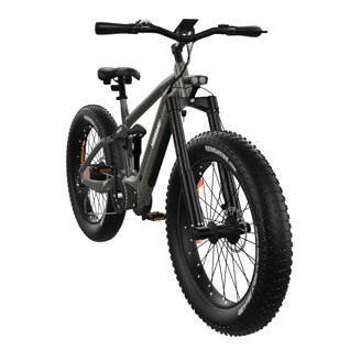 ElectricBike
