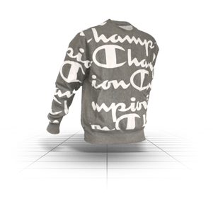 ChampionSweatshirt_Grid_500x500_2 (1)